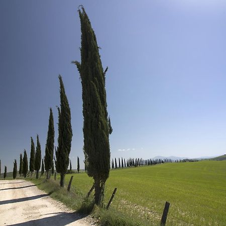 蒙特圣萨维诺Baldovino Di Monte住宿加早餐旅馆 外观 照片
