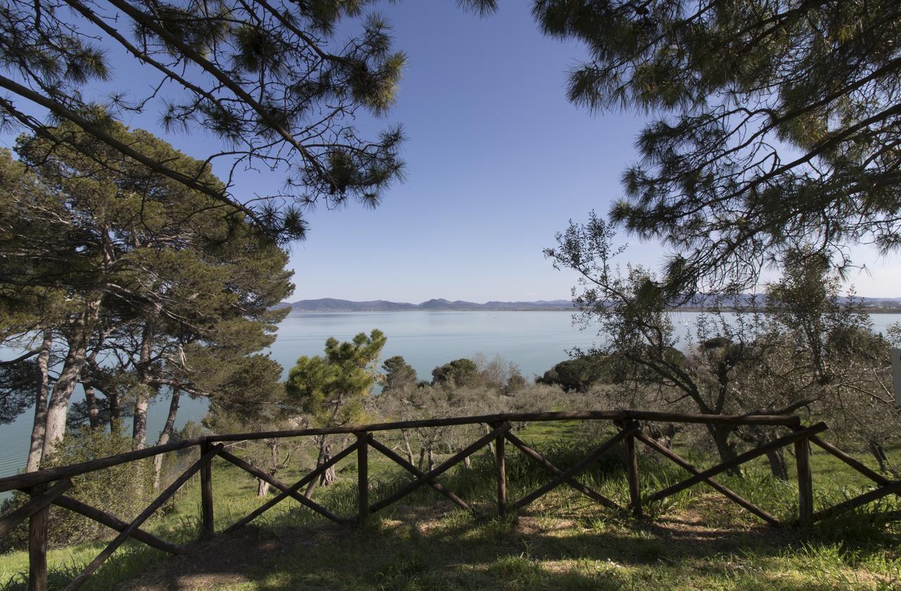 蒙特圣萨维诺Baldovino Di Monte住宿加早餐旅馆 外观 照片